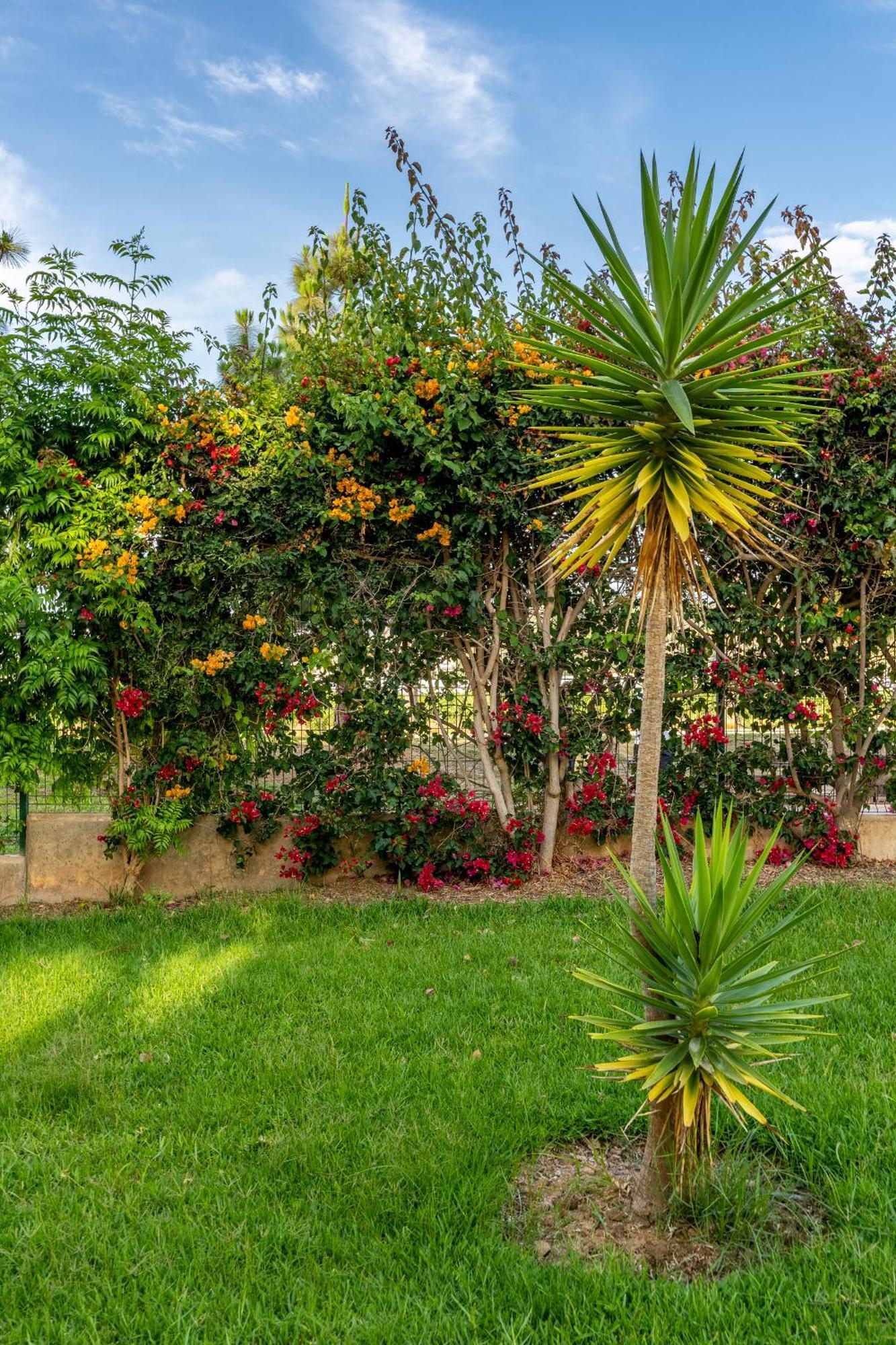 Bonito Apartamento En La Playa Con Piscina Torrenueva  Exterior foto